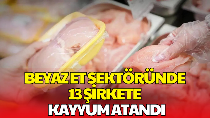 Beyaz Et Sektörüne Dev Operasyon! 13 Şirkete Kayyum Atandı